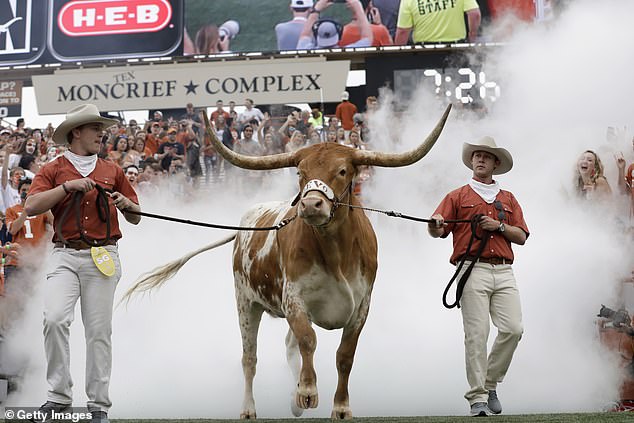 The dog's owner says it has nothing to do with a horrible encounter with Bevo in 2019