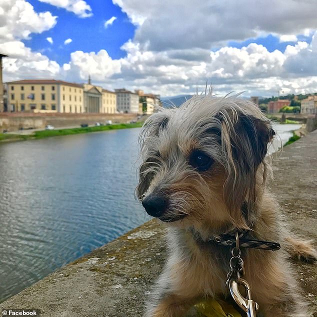 Waite also managed to bring her two rescue dogs along for her trip to London, where she would then head straight to Milan.