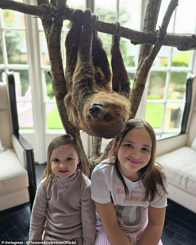 In March, Tamara angered her Instagram fans when she shared photos of her daughter Fifi's 10th birthday present: a sloth (Fifi pictured with sister Serena and sloth)