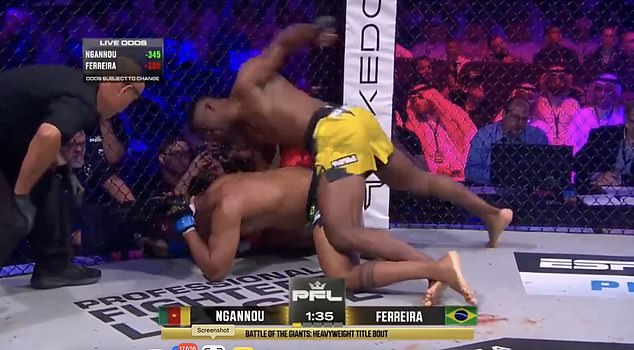 After landing a takedown, Ngannou delivered brutal blows before the fight was waved off