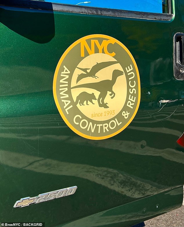 One of the vehicles in the scene had the appropriate Animal Control & Rescue NYC logo with the shapes of three different dinosaurs