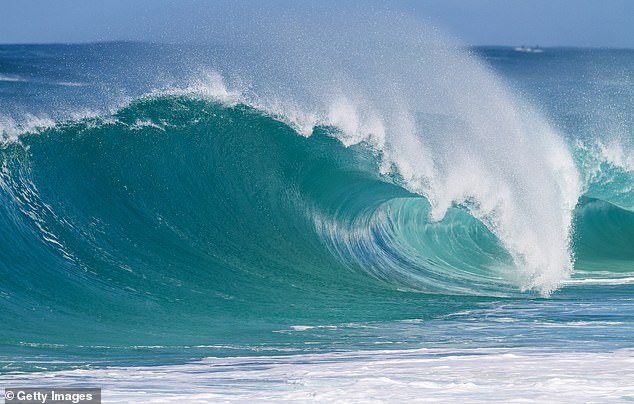 The pair and another man, Bryan C Kunic, 63, of Hollister, California, were stranded in the ocean for about 20 minutes before being rescued (Photo: Kei Iki Beach)