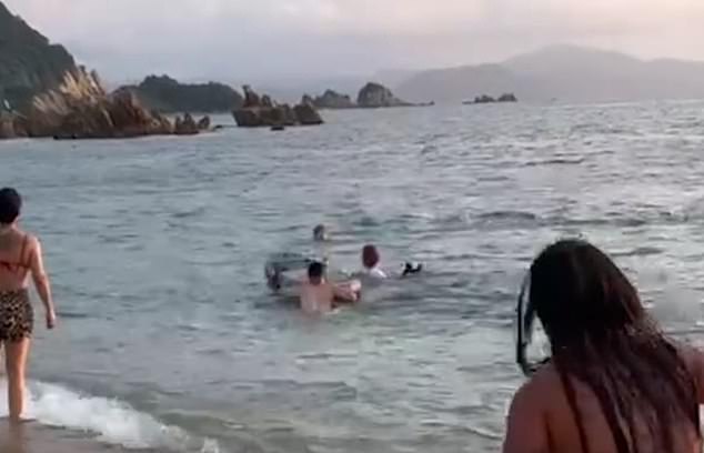 Takuma Goto was rescued by nearby surfers after encountering the lone dolphin while swimming along the coast of central Japan