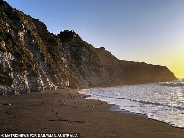 Caves and enclaves dot the beaches and forests of the Waikato region (pictured)