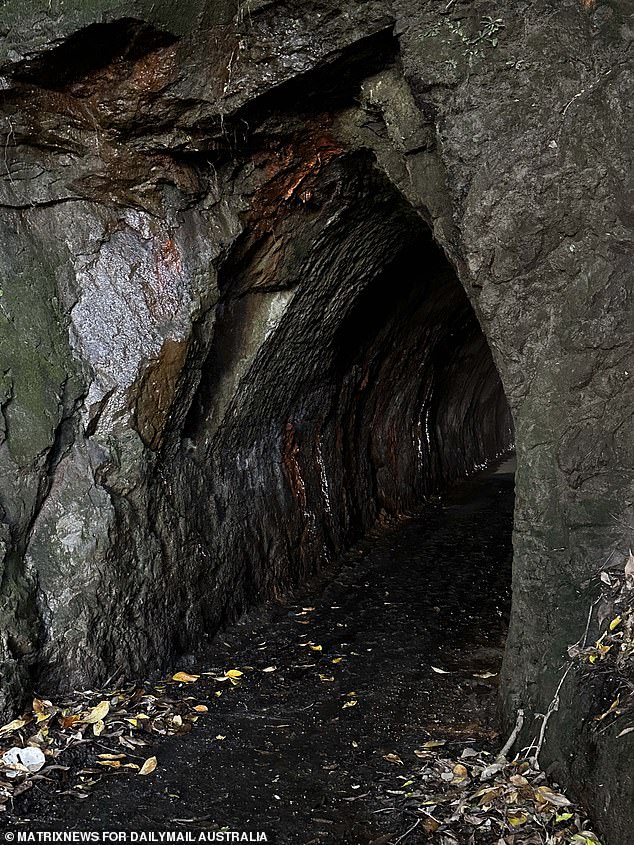 Phillips may have scavenged from weather debris in caves like the one pictured in the Waikato region - near where he went missing