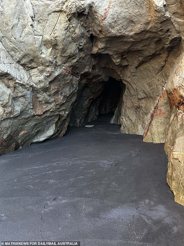 Bush tracker Jake Cassar said drones and motion detectors would not have been able to find the Phillips family because they were hiding in caves like the one above in the Waikato region