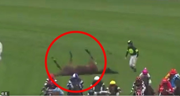 Collett was thrown from his horse Think About It mid-race, but bravely ran back to care for the stricken animal