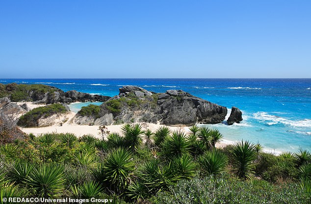 He was with his family on a cruise that made its first stop at Horseshoe Bay Beach in Bermuda on Oct. 7 when they spotted the young boy in distress.