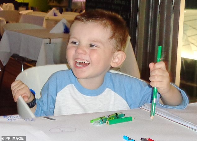 NSW Police Detective Sergeant Andrew Lonergan told the court in 2022 that William's foster mother 'knows where William Tyrrell (pictured) is'