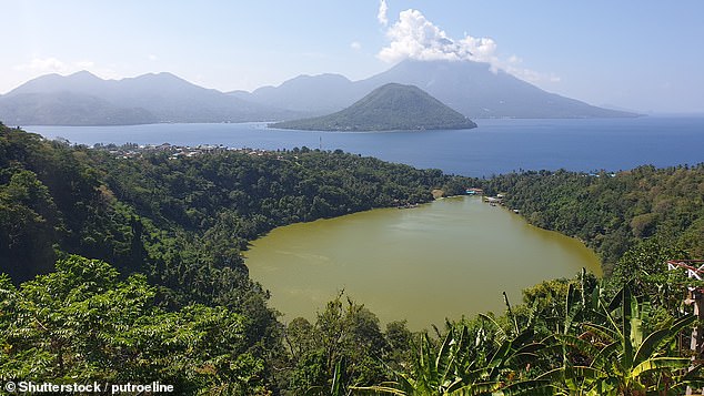 Indonesia lies at the intersection of the Pacific, Eurasian and Indo-Australian tectonic plates, making it a hotbed for earthquakes (File image of Halmahera Sea)