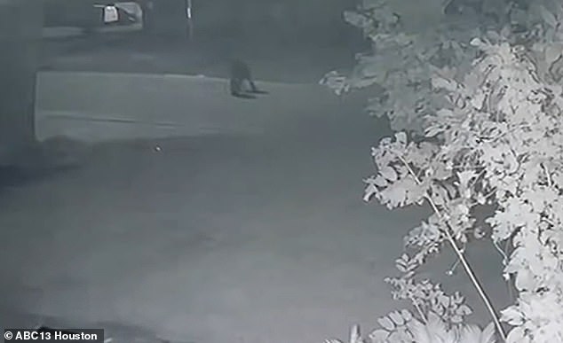 Surveillance footage shows Casas running down the street and then stumbling after being shot