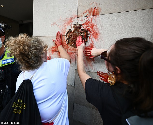 Ms Thorpe faced backlash after protesters at a protest she led smeared fake blood on the wrong weapon (pictured)