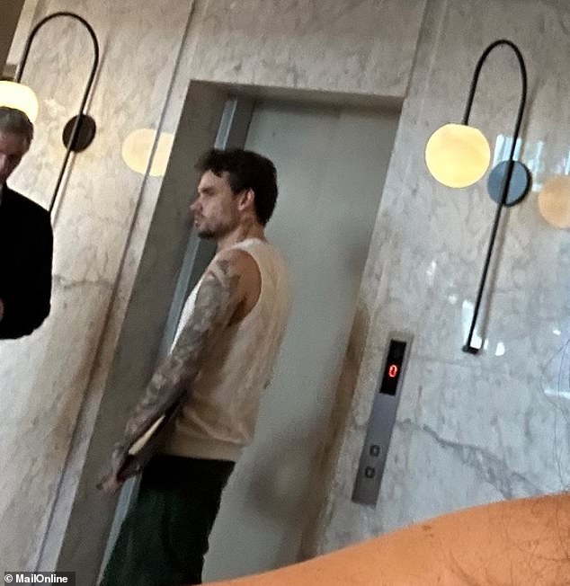 Liam Payne pictured next to a lift in the lobby of the Casa Sur Hotel at 4.28pm on Wednesday - shortly before his death, which is currently being treated as 'inconclusive'