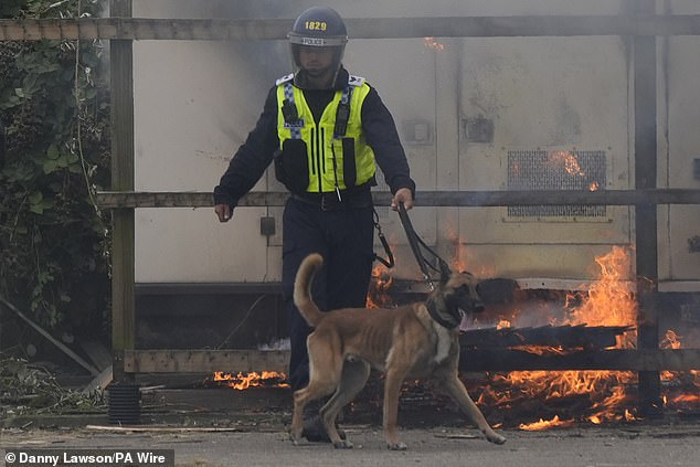 A police dog handler during the far-right demonstration outside the Holiday Inn Express in Rotherham