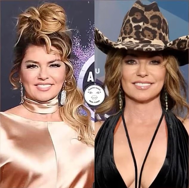 Shania Twain is pictured on the left at the AMAs in November 2019 and on the right at the Academy of Country Music Awards in August 2022