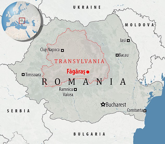 1729537754 290 Teen is chased by police after traveling to Romania and