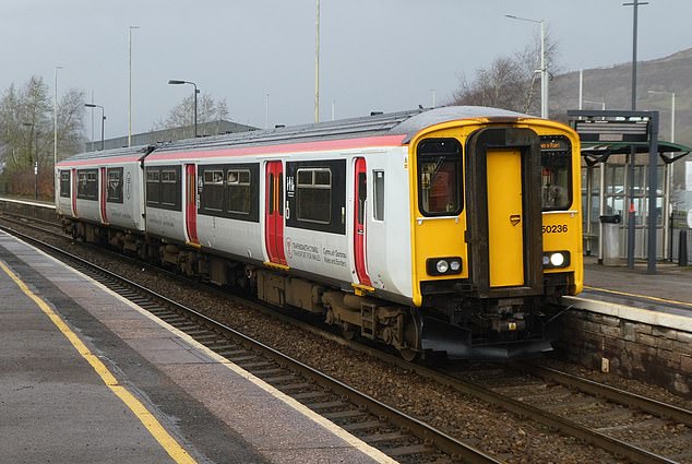 As a result of the crash, the line between Shrewsbury and Machynlleth is closed. (file image)