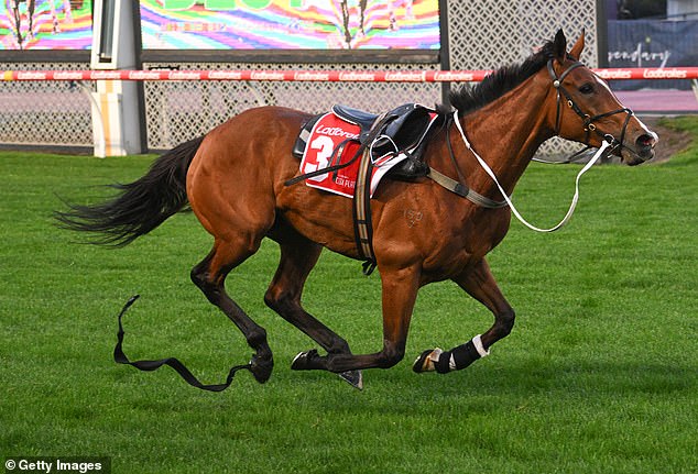 The dramatic incident took place just after 6.30am, with both horse and hoop remaining remarkably unharmed (photo: a riderless Via Sistina)