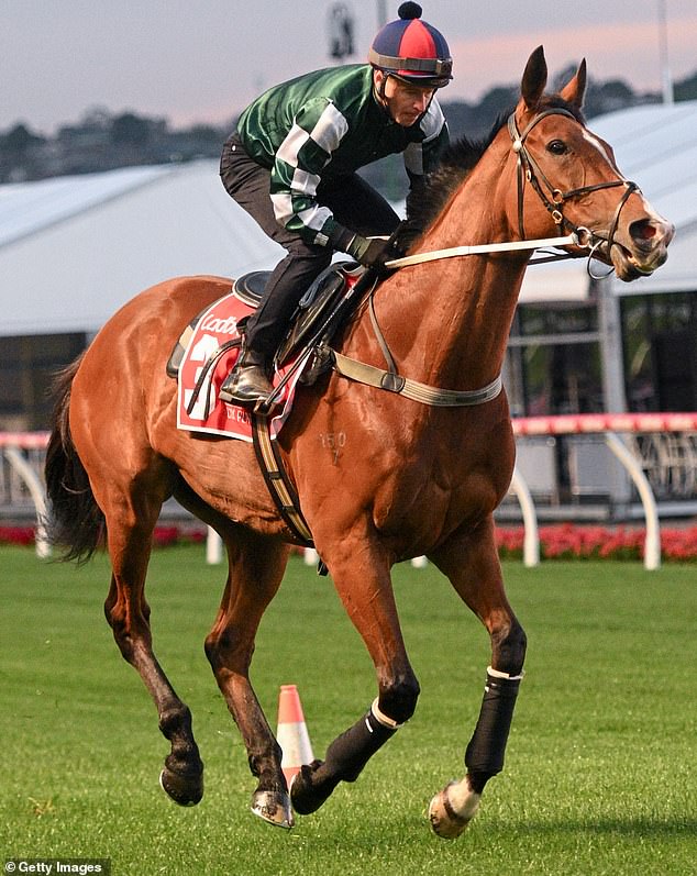 Superstar jockey James McDonald was left with a 'little bit of sore shoulder' after the incident (pictured, before the fall) - he still hopes to ride the mare in the Cox Plate