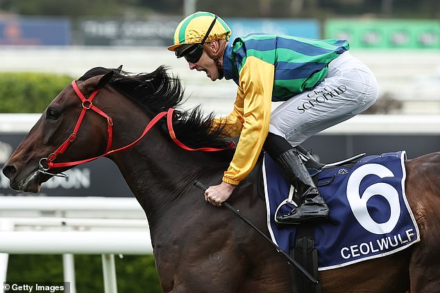 Ceolwulf (pictured) was Pride's second horse to win this weekend, with Lekvarte winning the Group Three James Squire Angst Stakes