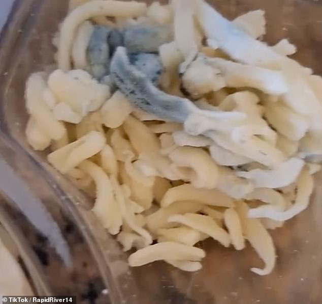 TikTokkers have posted images on the social media platform of what they claim is mold in their Lunchly packages