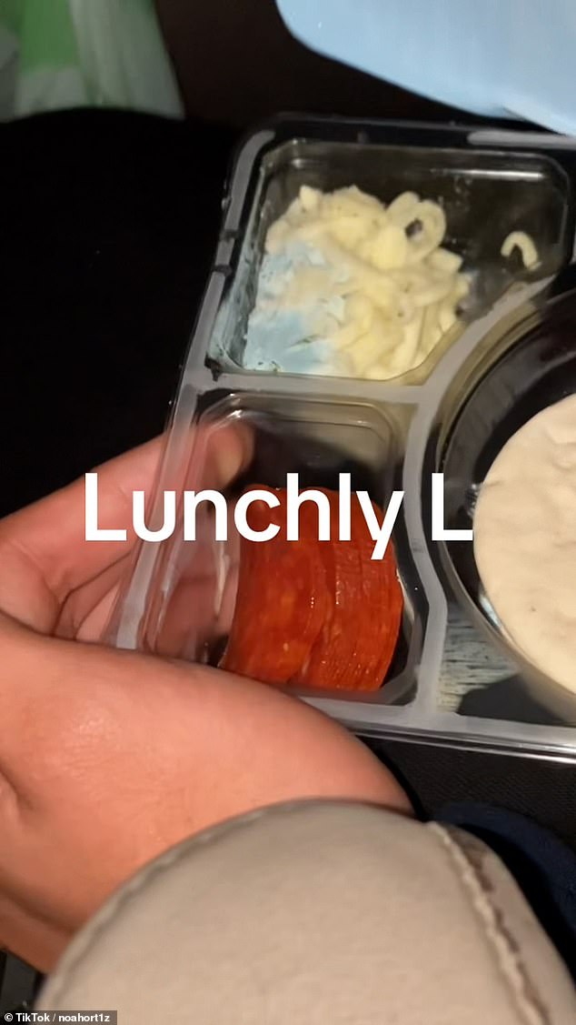 Pictured: What appears to be mold on a packed lunch posted by a user on TikTok