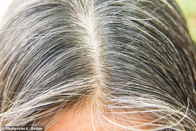 There are several reasons why someone may go gray at a younger age, but Dr. Sethi suggested that a deficiency of vitamin B12 or copper can disrupt oxygen and melanin production in the hair, causing it to turn gray.