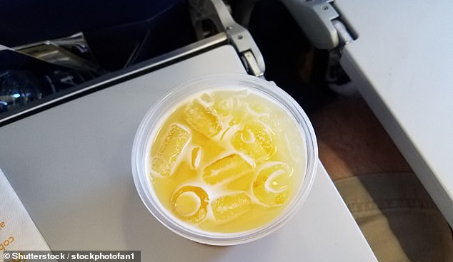 Airplane ice can sometimes be contaminated, Dr. Detwiler told DailyMail.com, 