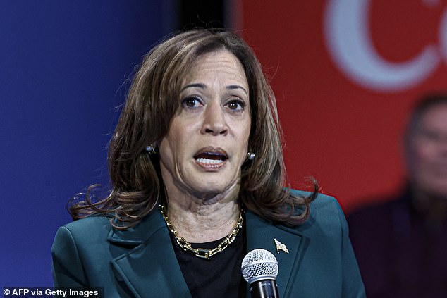 Vice President and Democratic presidential candidate Kamala Harris was traveling in her motorcade just moments after the wrong-way driver was stopped by Milwaukee police