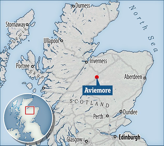 The incident happened around 9.45pm on Friday October 11 near the town of Aviemore close to the Granish junction of the British B9152 road and involved a gray Peugeot 207