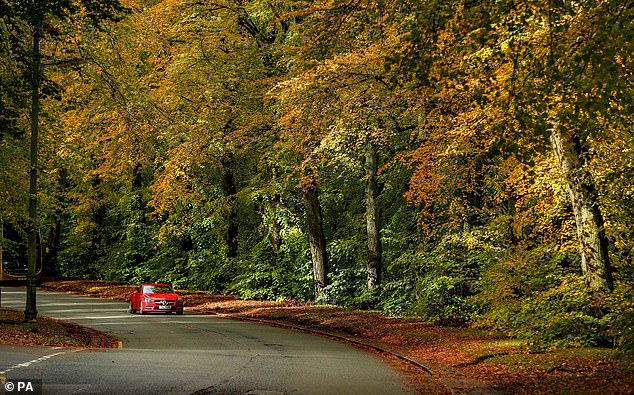 Last month the AA found that almost three-quarters of motorists said the worst thing about driving in the autumn was glare from the sun