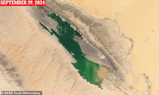 By September 29, a huge green lake had formed at the site after storm runoff partially filled the short-lived desert lake.