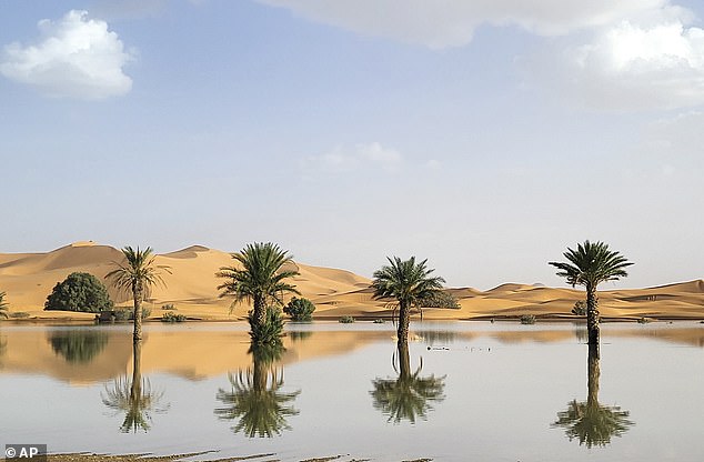 Palm trees are reflected in a lake caused by heavy rainfall in the desert town of Merzouga, near Rachidia, southeastern Morocco, Wednesday, October 2, 2024