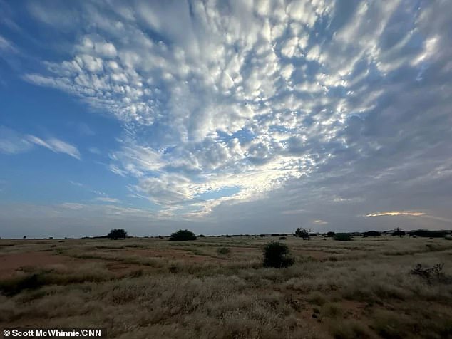 Ward said she spent her time in captivity 'in the open, under acacia trees'