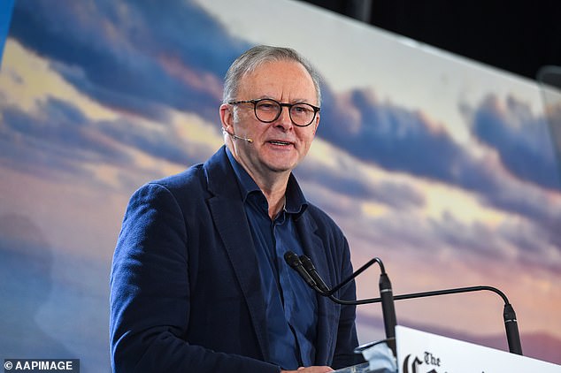 Labor politicians are right to be concerned. In the British elections in July, Keir Starmer's Labor Party won a huge majority, but still lost four seats to independent candidates running on a pro-Palestinian platform (photo: Prime Minister Anthony Albanese)