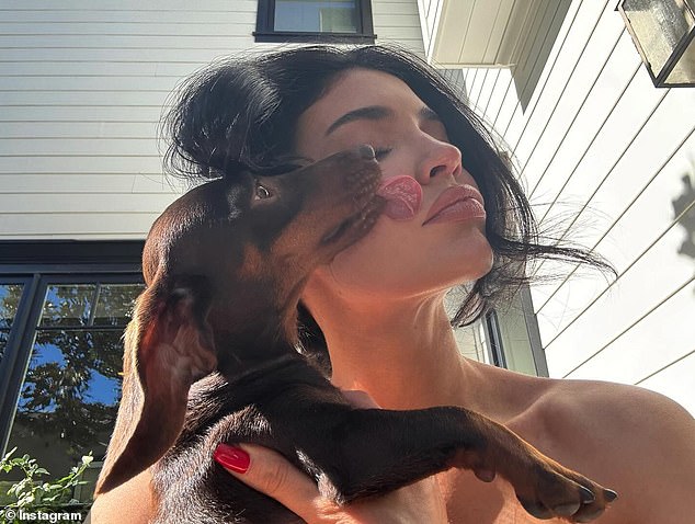 The Kardashians star had time to relax with adorable pups during the busy day and one image showed a dog licking her face