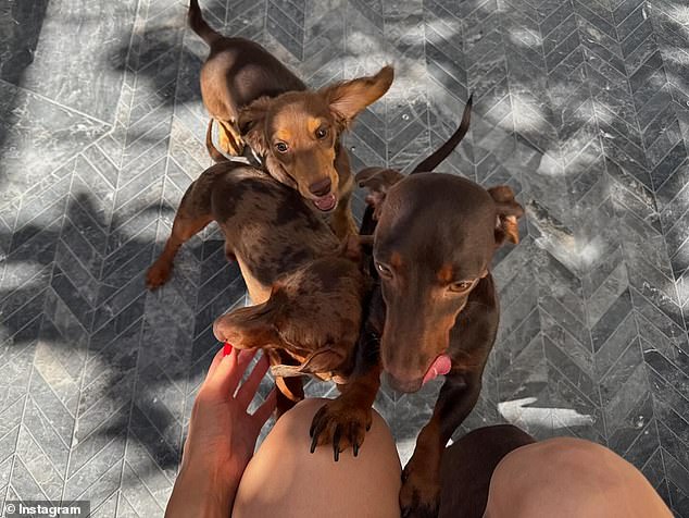 In another photo, three little pups ran up to her as she enjoyed the fresh air - and the trio jumped onto her knees