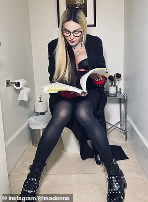 Madonna is a repeat offender and has shared toilet photos on social media several times over the years