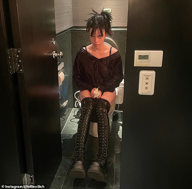 Billie Eilish wasn't shy when it came to sharing a photo of herself on the toilet