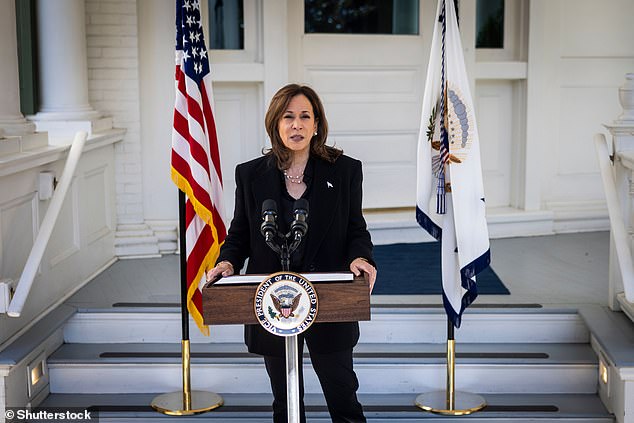 Vice President Kamala Harris has silent support from some billionaires