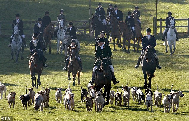 Captain Ian Farquhar leads the dogs along Worcester Avenue before the Beaufort Hunt