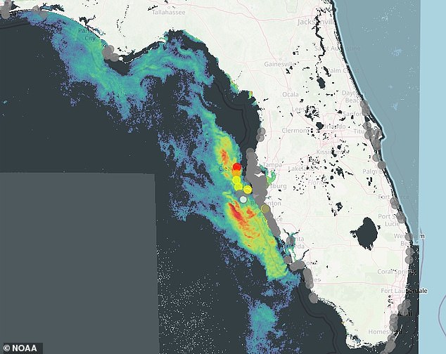 NOAA satellite images show the location of an algal bloom containing Karenia brevis, also known as a red tide