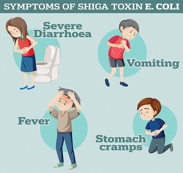 Symptoms of Shiga toxin-producing E. coli include severe diarrhea and vomiting