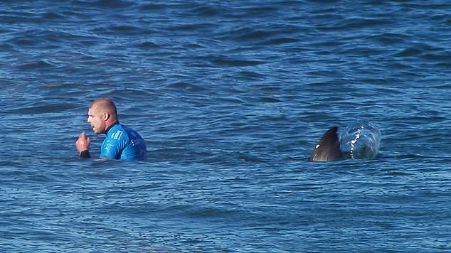 Surfer Mick Fanning (pictured shortly before he was attacked by a shark in South Africa in 2015) is another inductee