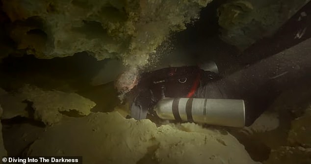 During the last dive, Heinerth and her crew were sucked into the iceberg by the strong current