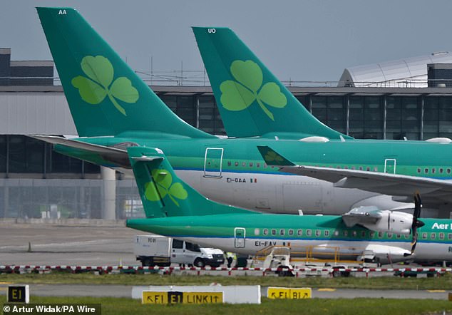 When the Aer Lingus pilot heard of the alleged attack, he turned the plane back towards Shannon (file image)