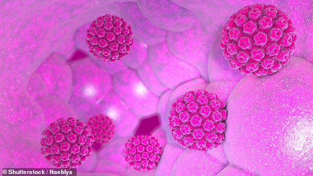 Catching HPV has been shown to increase the risk of several cancers, including cervical cancer, oral cancer, anal cancer, penile cancer and vaginal cancer