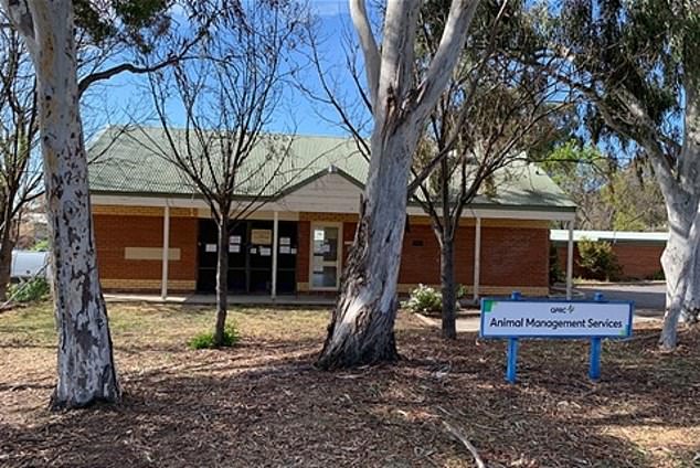 The dogs were euthanized at the Queanbeyan Animal Management Facility (pictured) and the center is now closed while staff conduct a deep clean