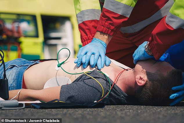 The researchers say this technique could be used to increase the period over which human patients can be resuscitated. In the future, cardiac arrest patients could be connected to livers from 'gene-edited mini pigs' (stock image)