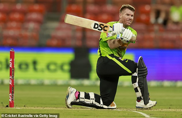 The decision paves the way for Warner to potentially captain the Sydney Thunder in the Big Bash (pictured, at the crease in 2023)